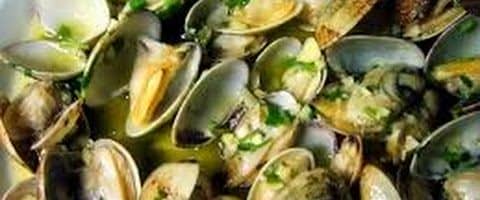 Ameijoas à Bulhão Pato