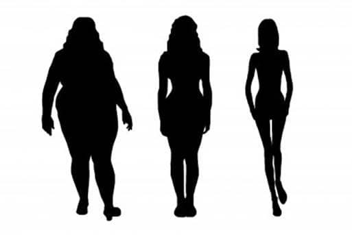 A alimentação e o nosso corpo