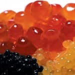 Caviar