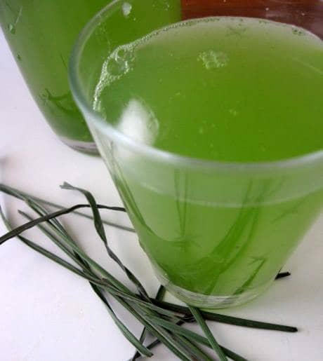 SUMO DE ERVA CIDREIRA TERMOGÊNICO