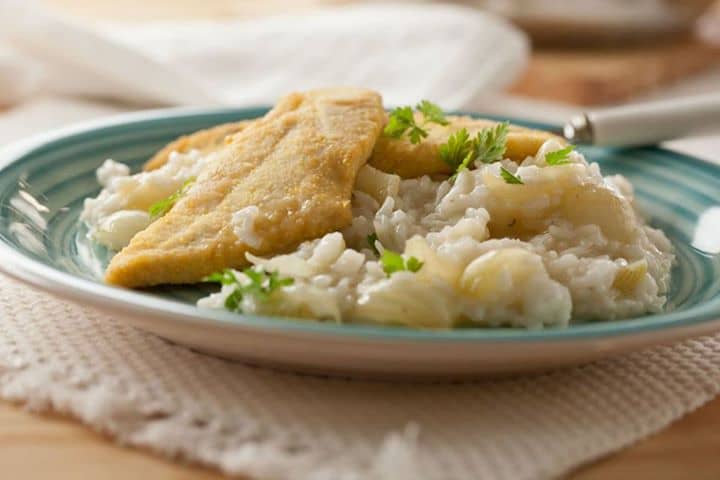 Filetes de peixe galo com arroz de cebolas novas