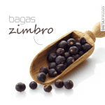 O zimbro, também conhecido vulgarmente por junípero ou zimbreiro é um  O zimbro, também conhecido vulgarmente por junípero ou zimbreiro é um