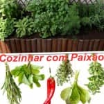 Como Secar ervas aromáticas Como Secar ervas aromáticas