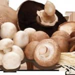 Torrada com cogumelos